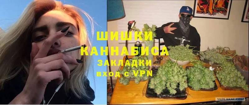 как найти наркотики  Зеленокумск  МАРИХУАНА SATIVA & INDICA 